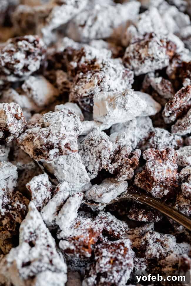 Loaded Chunky Chex Muddy Buddies 6 A spoon lifting up a generous scoop of Chex Mix Muddy Buddies, showcasing the powdery coating and chunky texture.