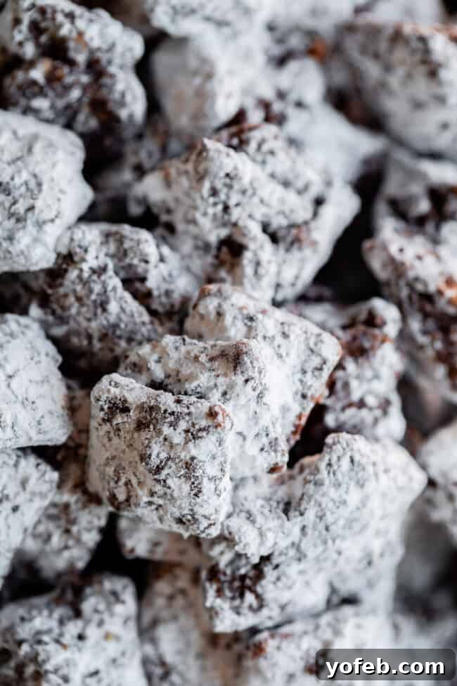 Loaded Chunky Chex Muddy Buddies 9 Close-up of a large cluster of Muddy Buddies (Puppy Chow) highlighting its chunky, stuck-together texture.