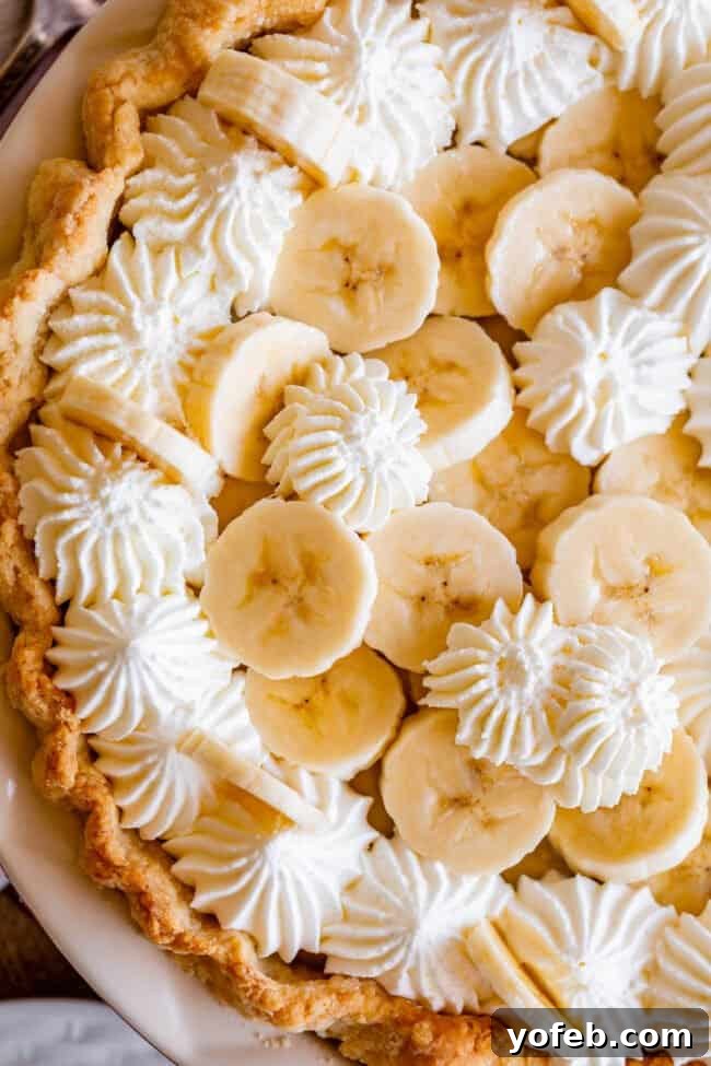 Luscious Banana Cream Pie Recipe 3 A beautifully crafted banana cream pie, generously topped with piped whipped cream and fresh banana slices, showcasing its homemade goodness.