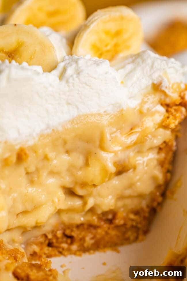 Luscious Banana Cream Pie Recipe 4 An enticing cross-section of banana cream pie, revealing layers of creamy custard, fresh banana slices, and a thick, golden crust, topped with fluffy whipped cream.