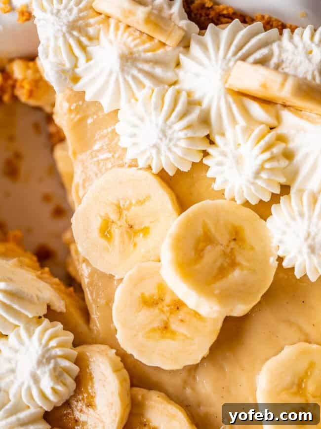 Luscious Banana Cream Pie Recipe 5 An overhead view of a magnificent banana cream pie, showcasing a generous spread of sliced bananas over a creamy base, ready for serving.