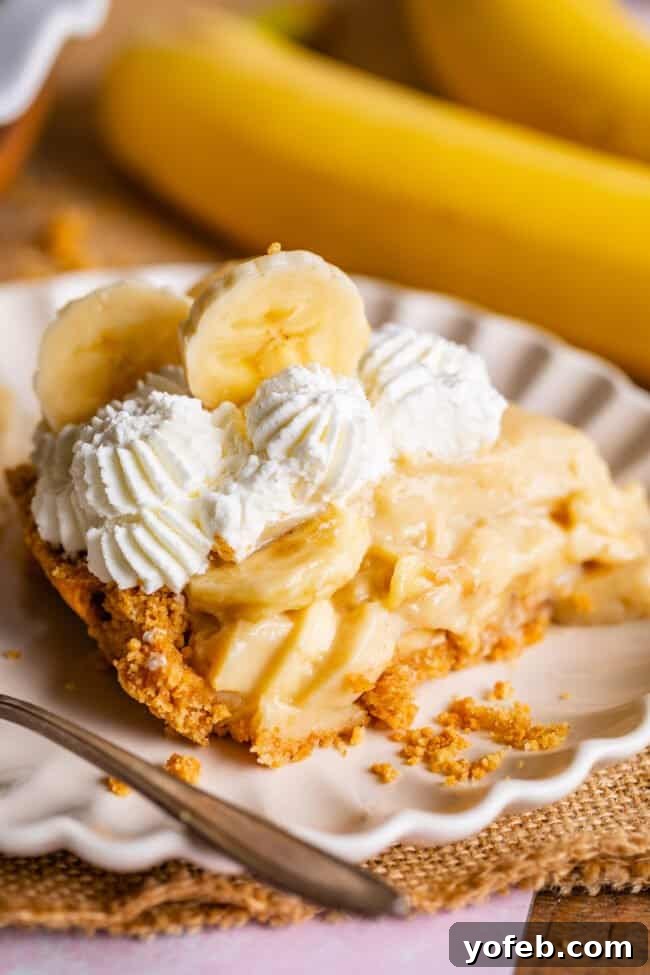 Luscious Banana Cream Pie Recipe 6 A pristine slice of homemade banana cream pie, featuring a crisp crust, rich custard, and fluffy whipped cream, served on an elegant scalloped plate.