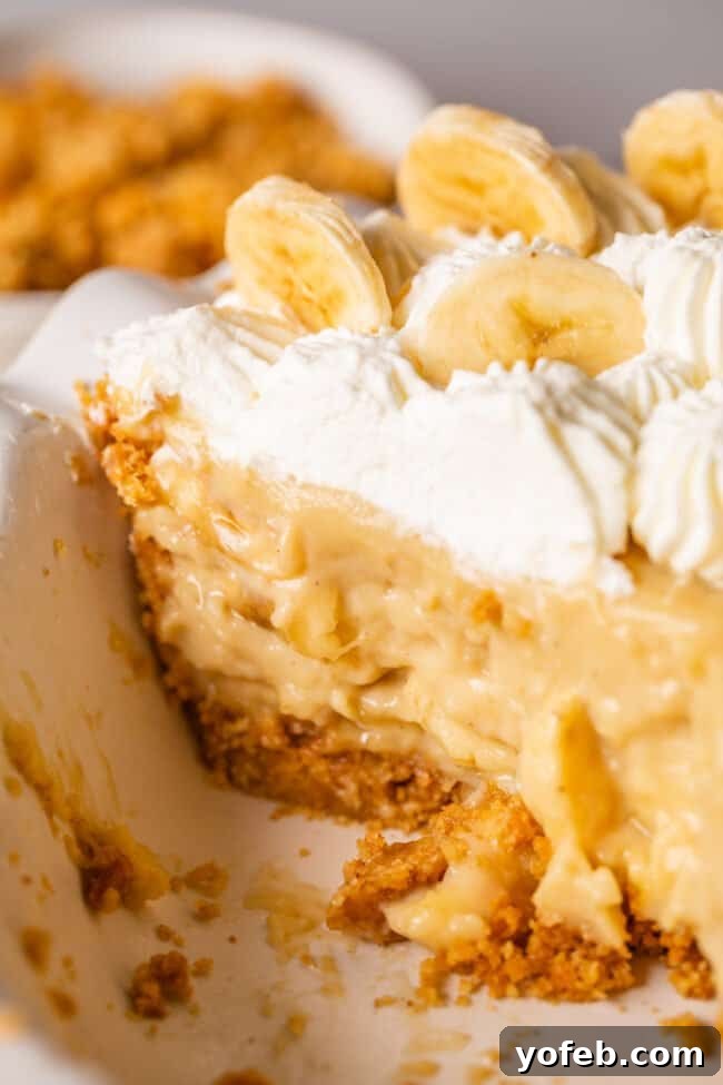 Luscious Banana Cream Pie Recipe 7 A homemade banana cream pie, with several slices removed, revealing the delicious layers inside a rustic pie plate.