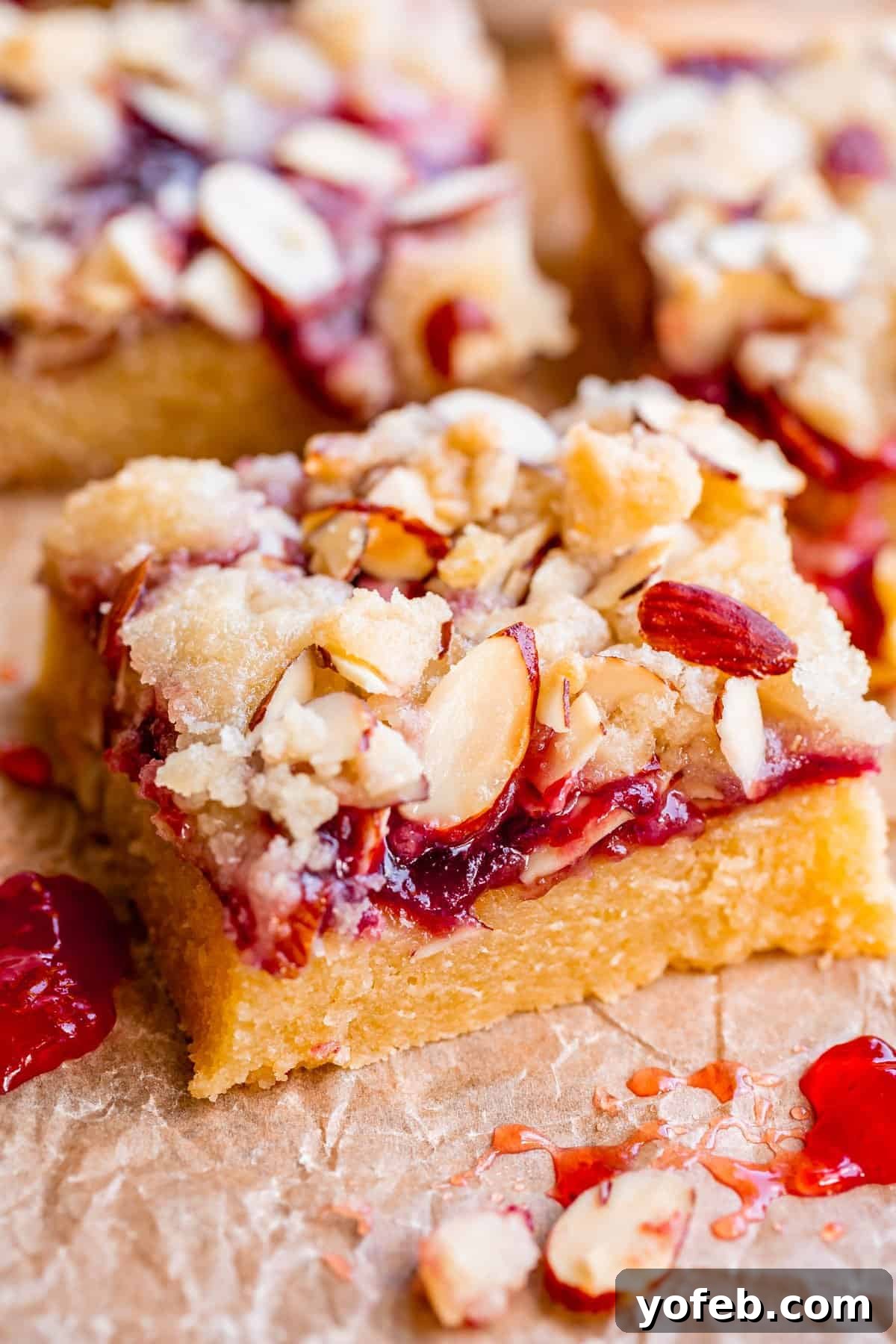 Almond Streusel Raspberry Crumb Bars 19 picture of raspberry shortbread bars shot from the side with jam and almond streusel.