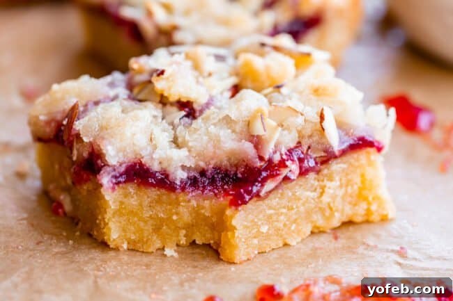 Almond Streusel Raspberry Crumb Bars 5 A delicious raspberry bar topped with golden streusel, with a corner bite revealing the vibrant jam filling.