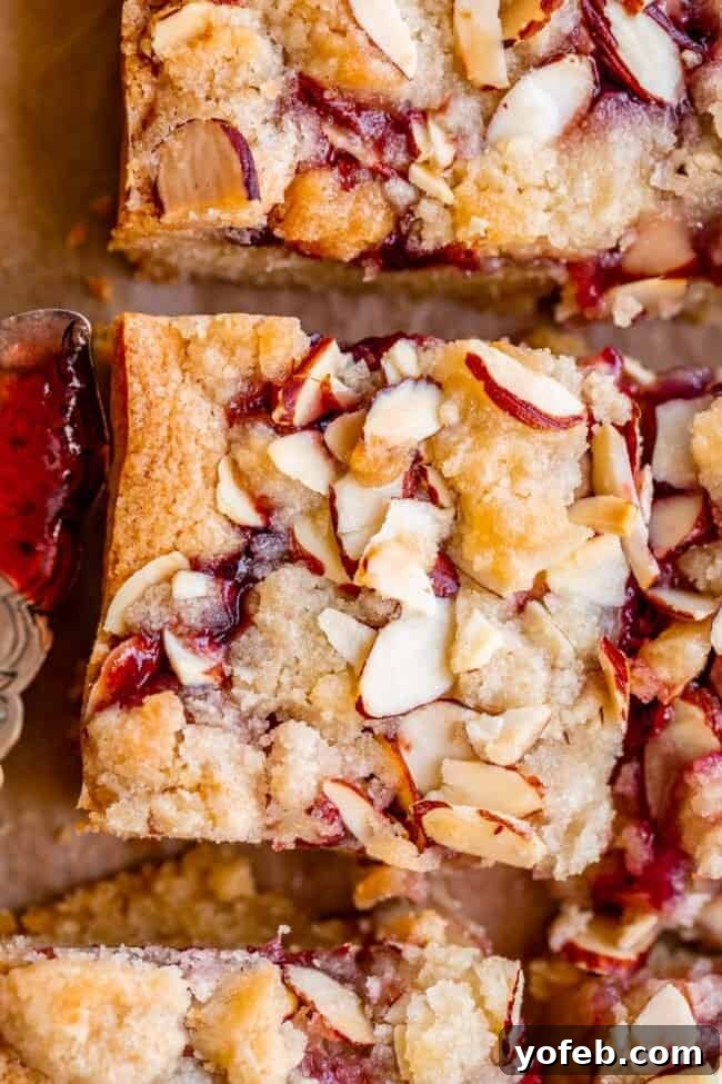 Almond Streusel Raspberry Crumb Bars 6 Overhead view of raspberry bars showcasing the almond slivers and bright red jam peeking through the crumble topping.