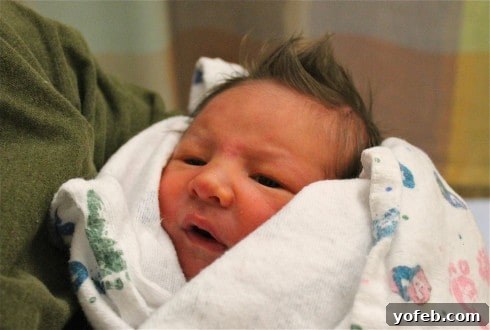 Decadent Oreo Cheesecake Bars 2 A cute newborn baby with dark hair