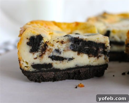 Decadent Oreo Cheesecake Bars 5 Freshly baked Oreo Cheesecake Bars in a pan
