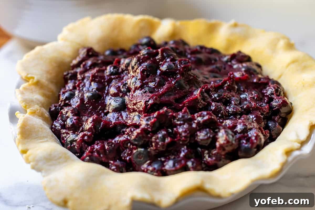 Grandma's Classic Blueberry Pie 18 A ceramic pie dish filled with raw blueberry pie filling, mounded within an unbaked pie crust, ready for the top crust.