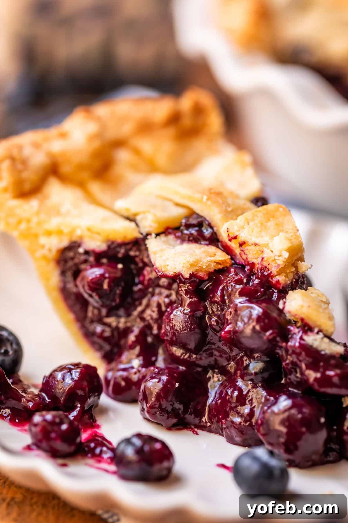 Grandma's Classic Blueberry Pie 25 A stunning piece of blueberry pie with a golden-brown lattice crust, presented on a simple white plate, ready to be enjoyed.