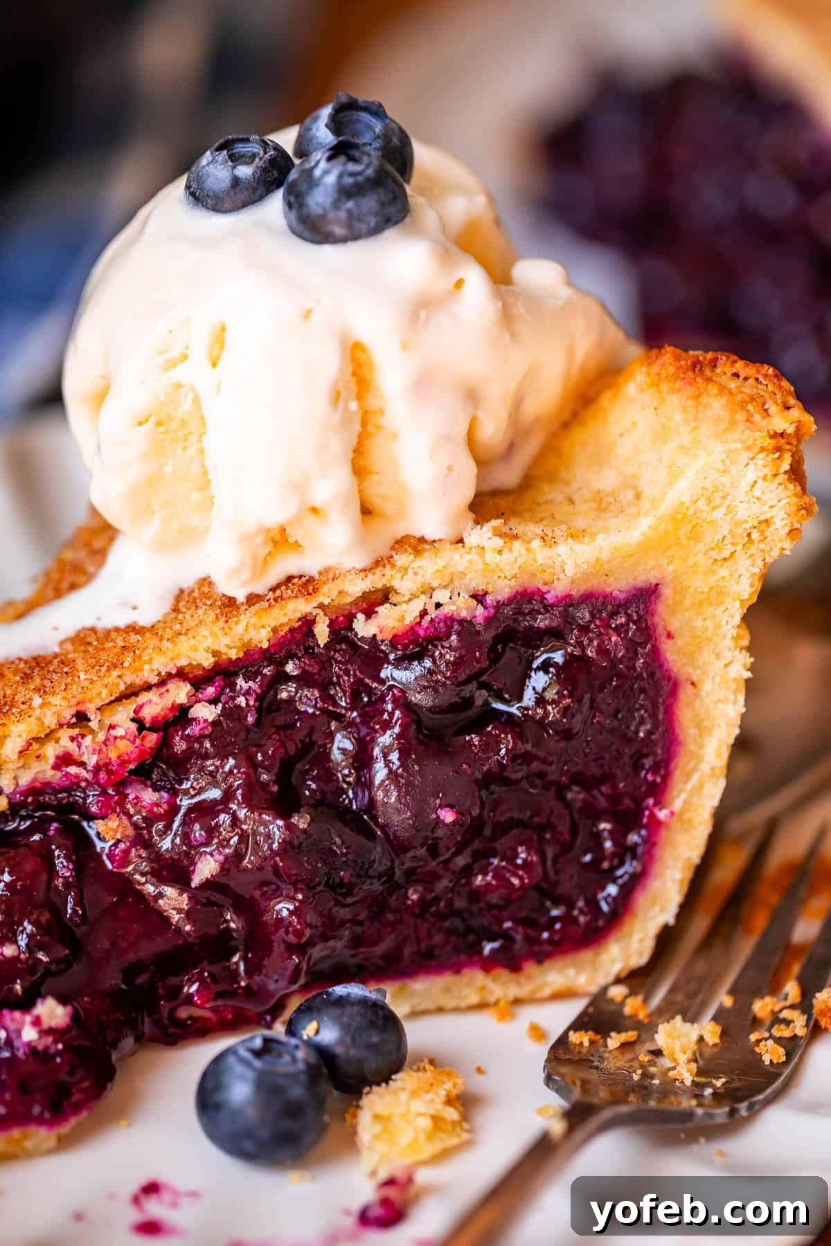 Grandma's Classic Blueberry Pie 5 A close-up, angled shot of a slice of blueberry pie on a white plate, topped with a generous scoop of melting vanilla ice cream, highlighting the interplay of warm pie and cold cream.