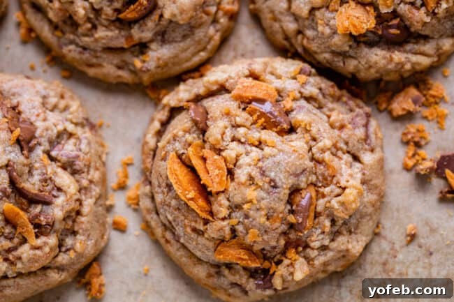 The Ultimate Peanut Butter Butterfinger Cookie 19 A beautifully baked Peanut Butter Butterfinger Cookie in a horizontal close-up shot, showcasing its rich texture and the vibrant golden-brown crust. The visible Butterfinger pieces add a tempting crunch.