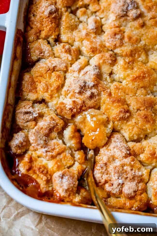 Effortless Homemade Apple Cobbler 22 Apple cobbler with a rustic biscuit cake topping, served in a white dish with a gold spoon.