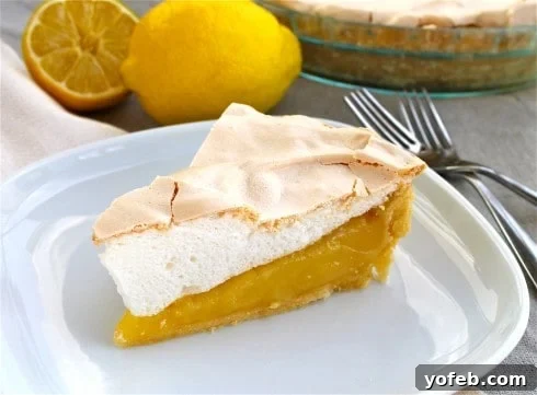 Lemon Meringue Pie for Lemon Lovers from TheFoodCharlatan.com