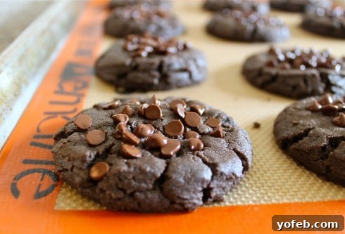Decadent Gluten Free Peanut Butter Chocolate Chip Cookies 2 Smiling mother looking content after family has left