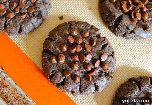 Decadent Gluten Free Peanut Butter Chocolate Chip Cookies 3 A candid shot of a mother looking tired but affectionate with her children