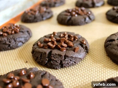 Decadent Gluten Free Peanut Butter Chocolate Chip Cookies 5 Plate of freshly baked chocolate chip peanut butter cookies