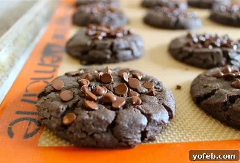 Chocolate Chip Peanut Butter Cookies (Gluten Free) from TheFoodCharlatan.com
