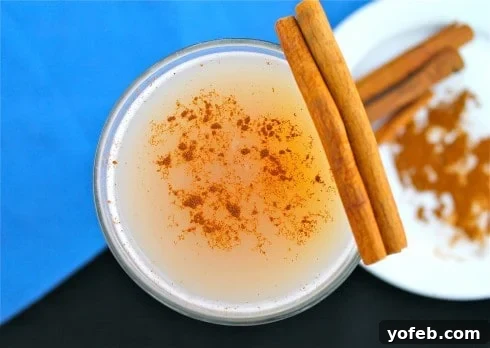 Creamy Cinnamon Delight 4 Ingredients for homemade Horchata including rice, cinnamon sticks, milk, and vanilla