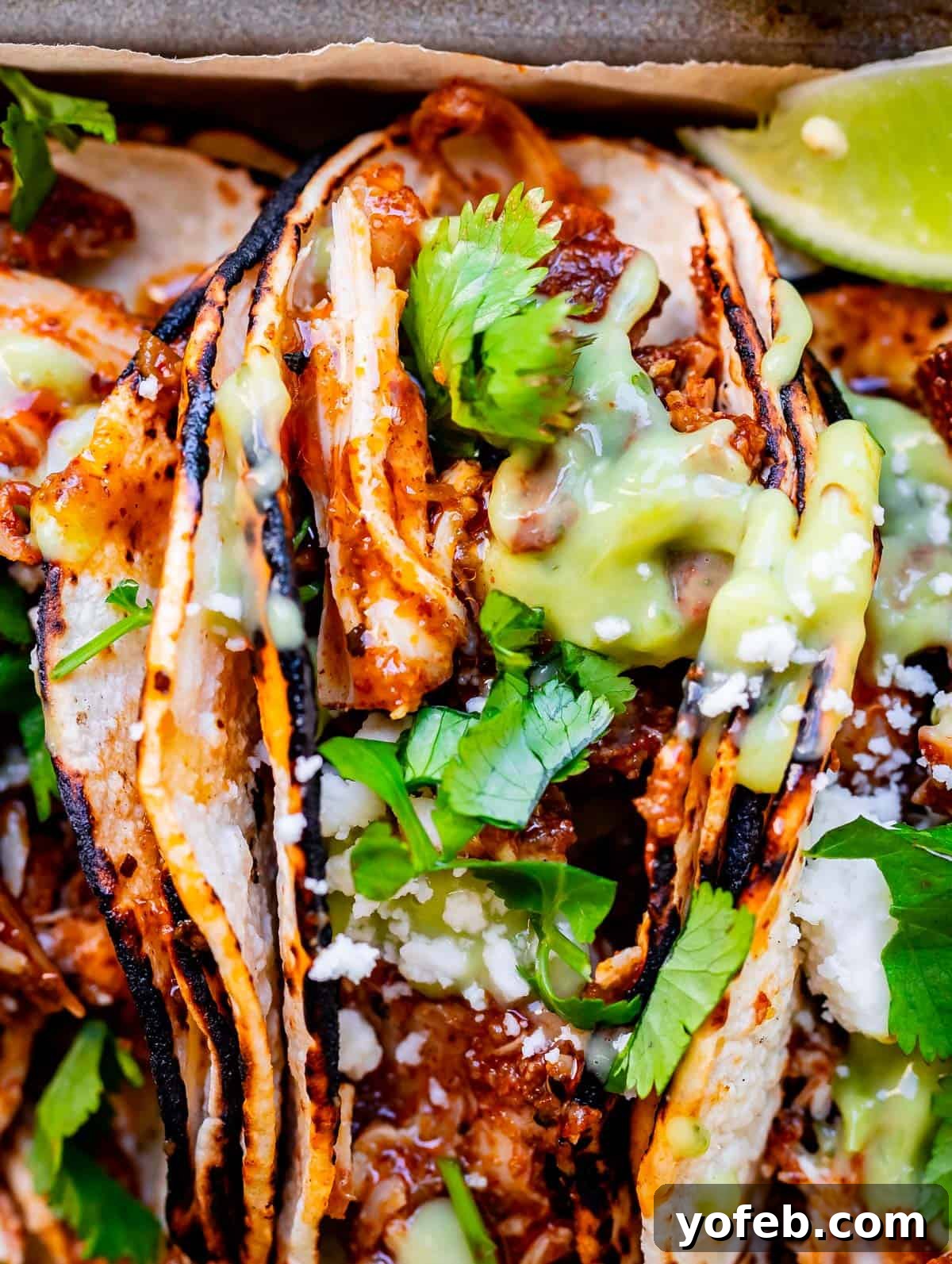 Ultimate Chicken Tacos Quick and Slow Cooker Options 22 close up of a taco with charred tortillas, saucy chicken, cilantro, and green salsa.