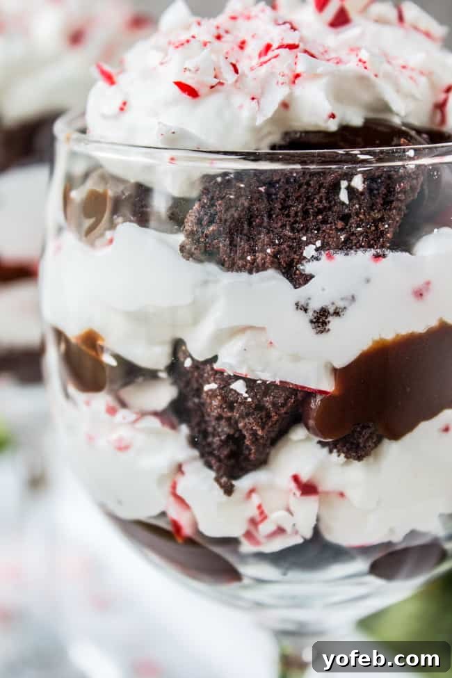 Candy Cane Brownie Trifle Recipe: A rich, festive layered chocolate peppermint dessert Candy Cane Brownie Trifle, a festive layered chocolate dessert with peppermint and whipped cream