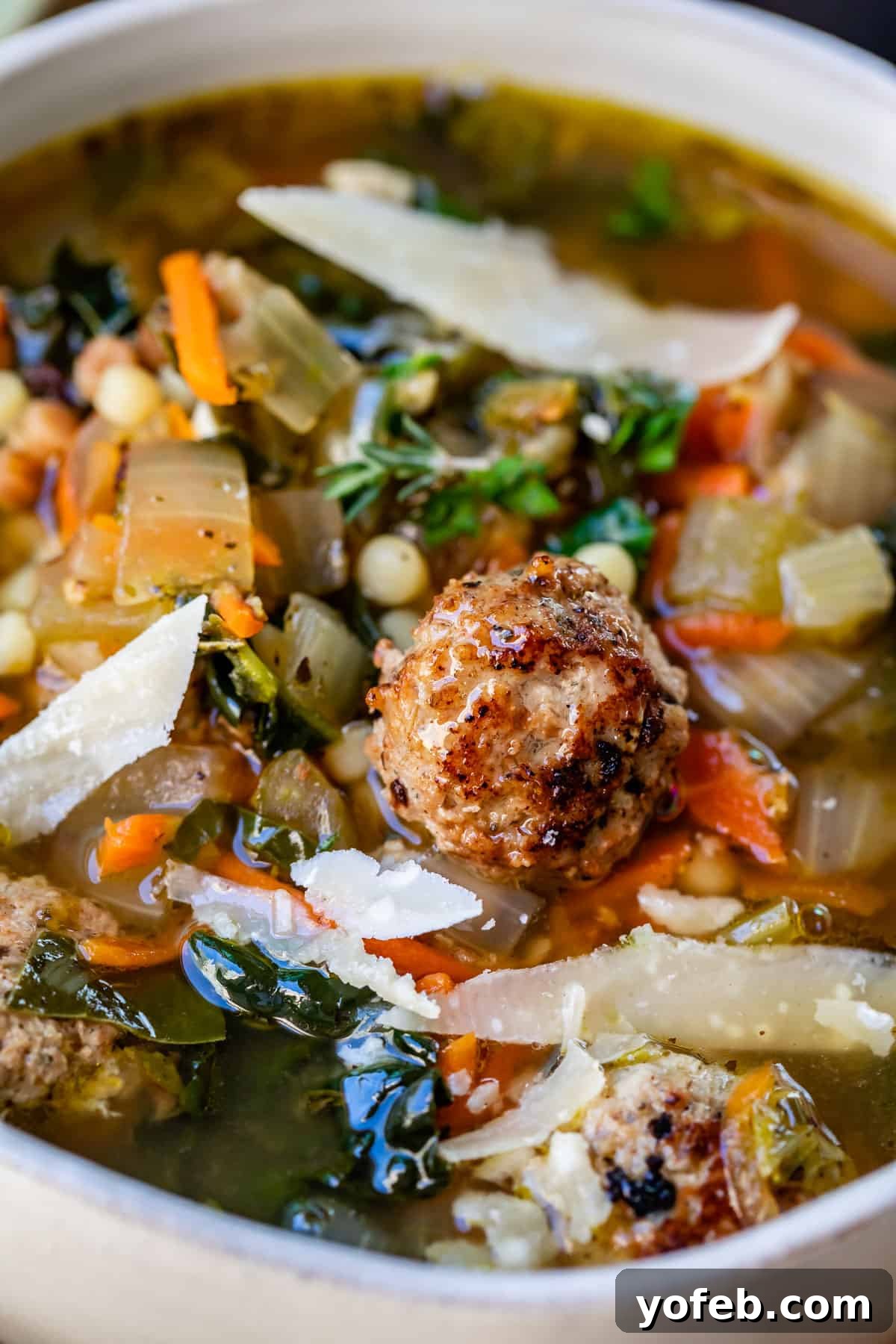 Mastering the Art of Italian Wedding Soup 6 close up featuring a meatball with the broth, greens, and pasta of italian wedding soup behind.