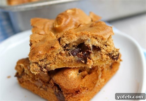 Mud Hen Bars with a beautiful golden meringue topping