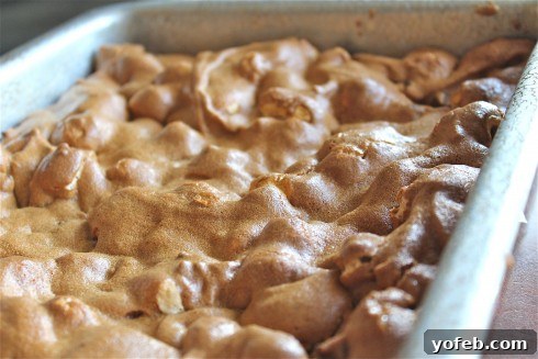 Chocolate Cloud Dream Bars 4 Delicious brown sugar meringue topping on Mud Hen Bars