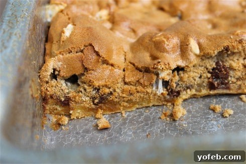 Mud Hen Bars cooling in a baking pan