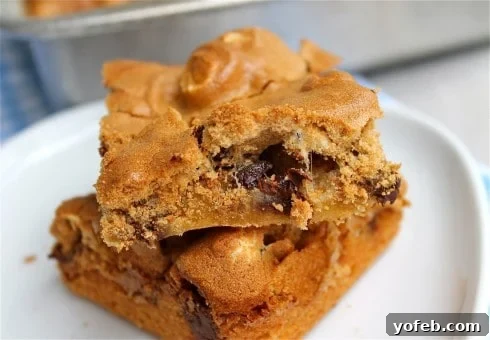 Mud Hen Bars (Chocolate Chip Marshmallow Meringue Bars) from TheFoodCharlatan.com