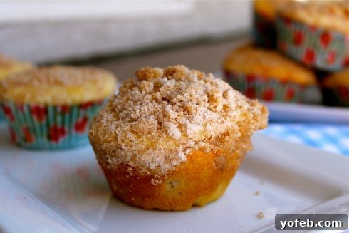 Tangy Rhubarb Cream Cheese Swirl Muffins 5 A plate of two freshly baked Rhubarb Cream Cheese Muffins, one with a bite taken out, revealing the creamy cheese filling and rhubarb pieces inside.