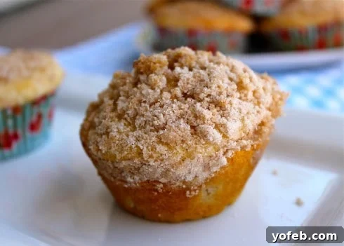 Rhubarb Cream Cheese Muffins from The Food Charlatan