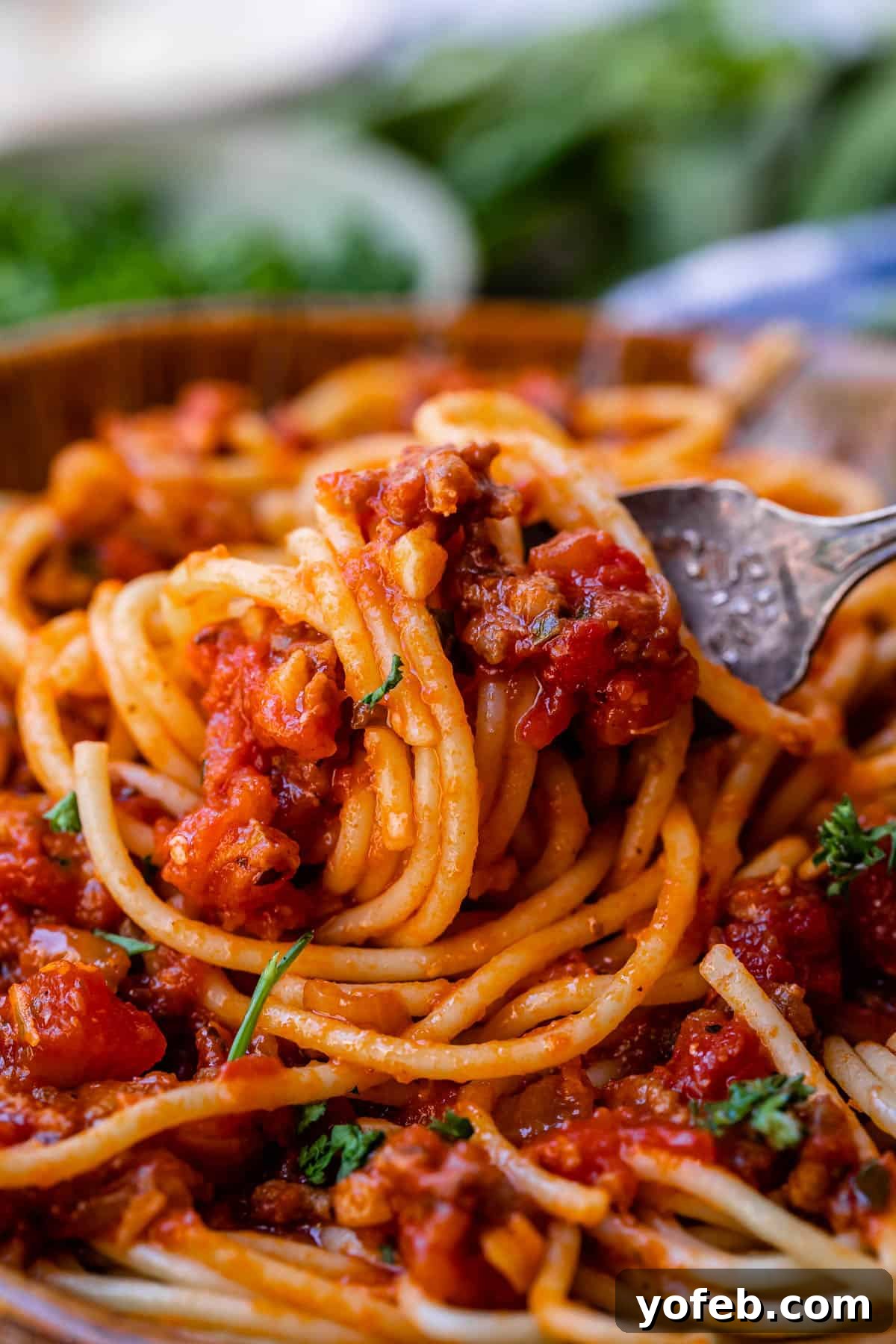 Effortless 30-Minute Spaghetti Sauce 14 A close-up view of velvety homemade spaghetti meat sauce generously coating spaghetti noodles, beautifully wrapped around a fork.