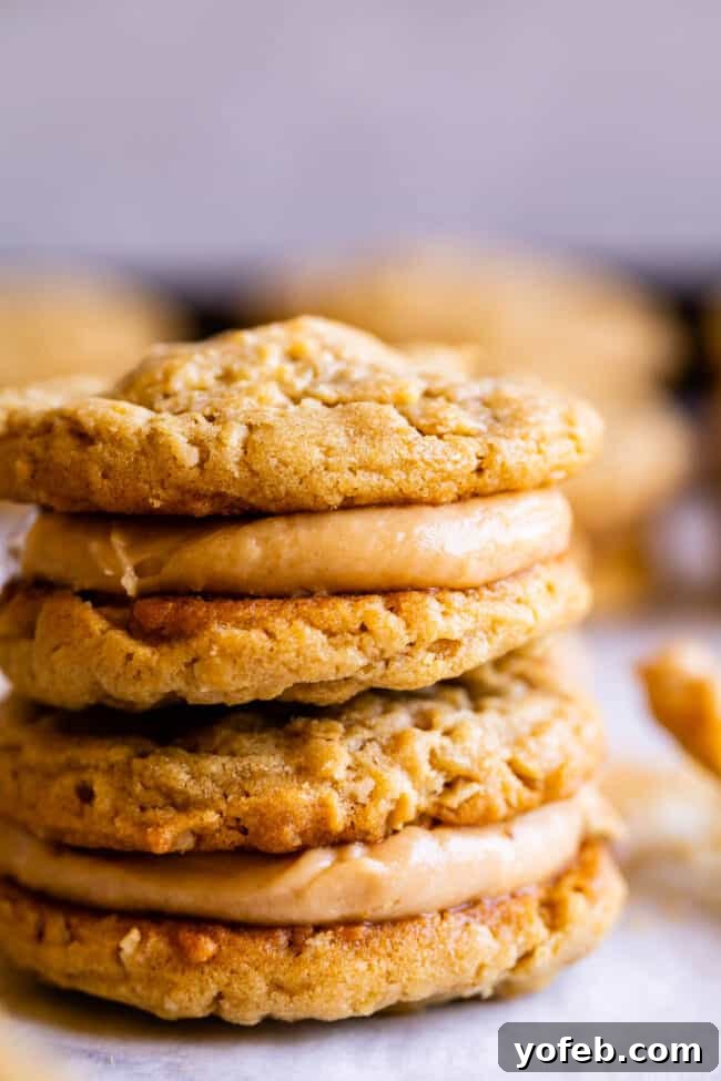 The Ultimate Guide to a Fully Stocked Pantry and Fridge 11 Two soft peanut butter oatmeal sandwich cookies with creamy filling, stacked on a plate.