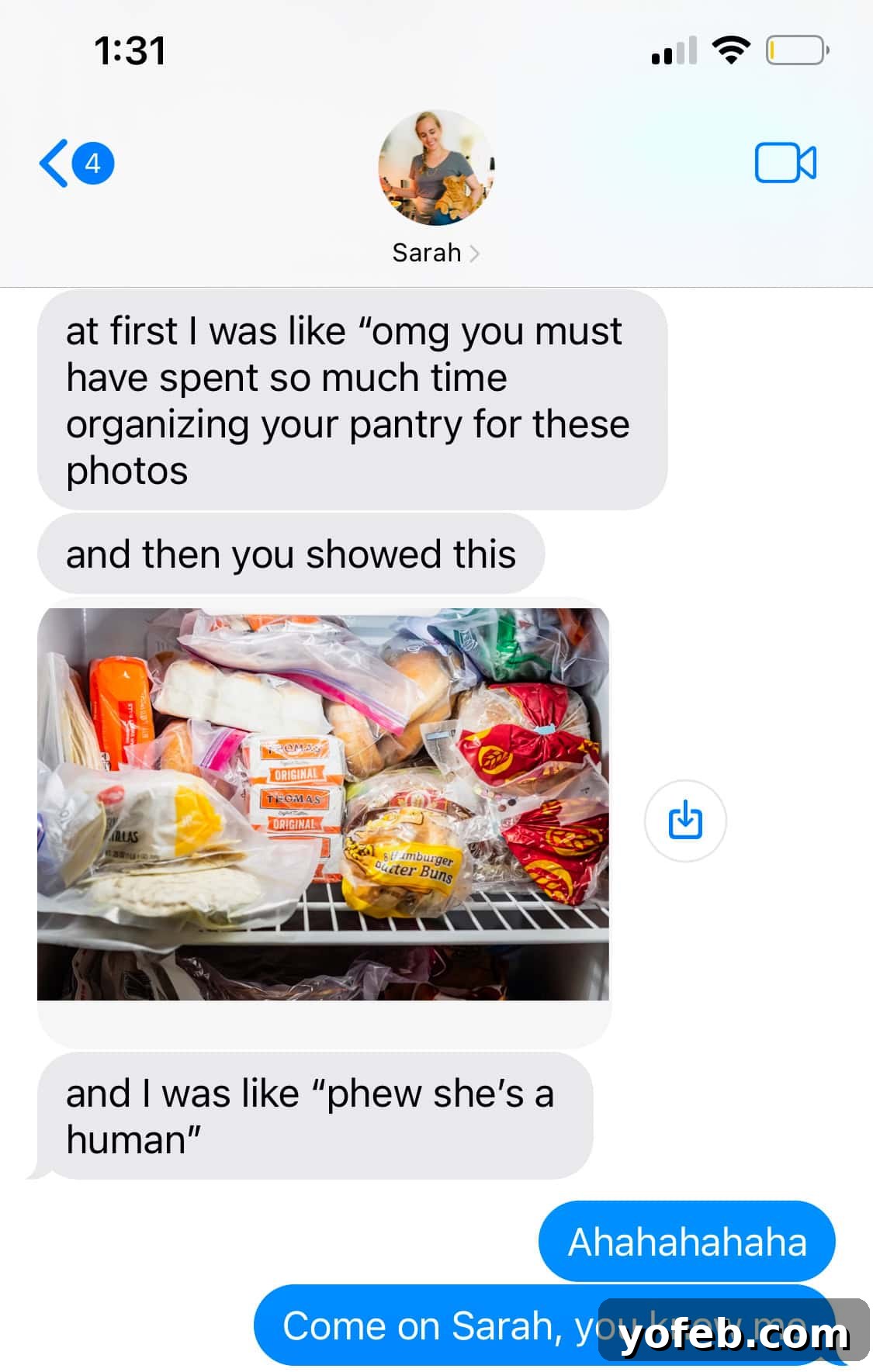 The Ultimate Guide to a Fully Stocked Pantry and Fridge 4 A screenshot of a text conversation showing a picture of an open, functional freezer with various items stored inside.
