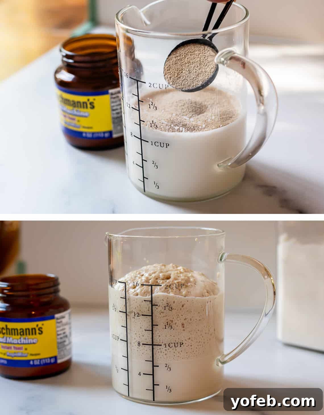 Doughnut Delights from Scratch 11 Pouring active dry yeast from a measuring spoon into a glass liquid measuring cup containing warm milk.