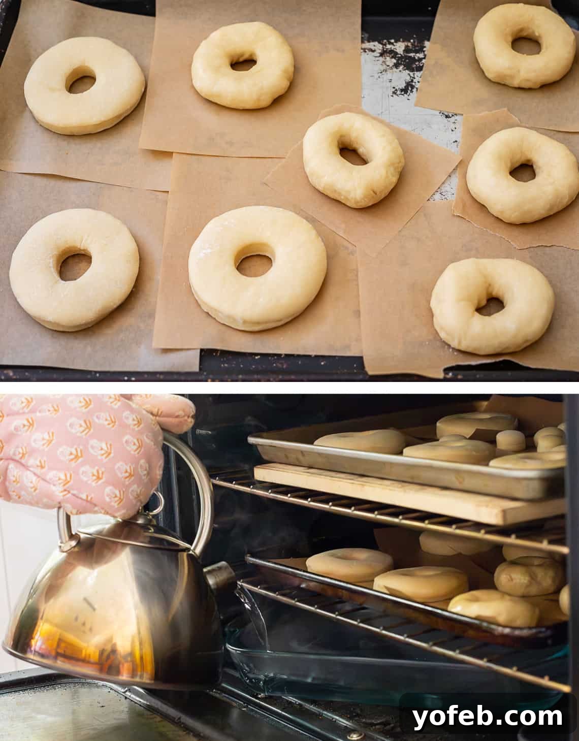 Doughnut Delights from Scratch 25 Top image shows cut and hand-shaped donuts arranged on a pan; bottom image depicts adding water to the oven, with shaped donuts inside, for proofing.