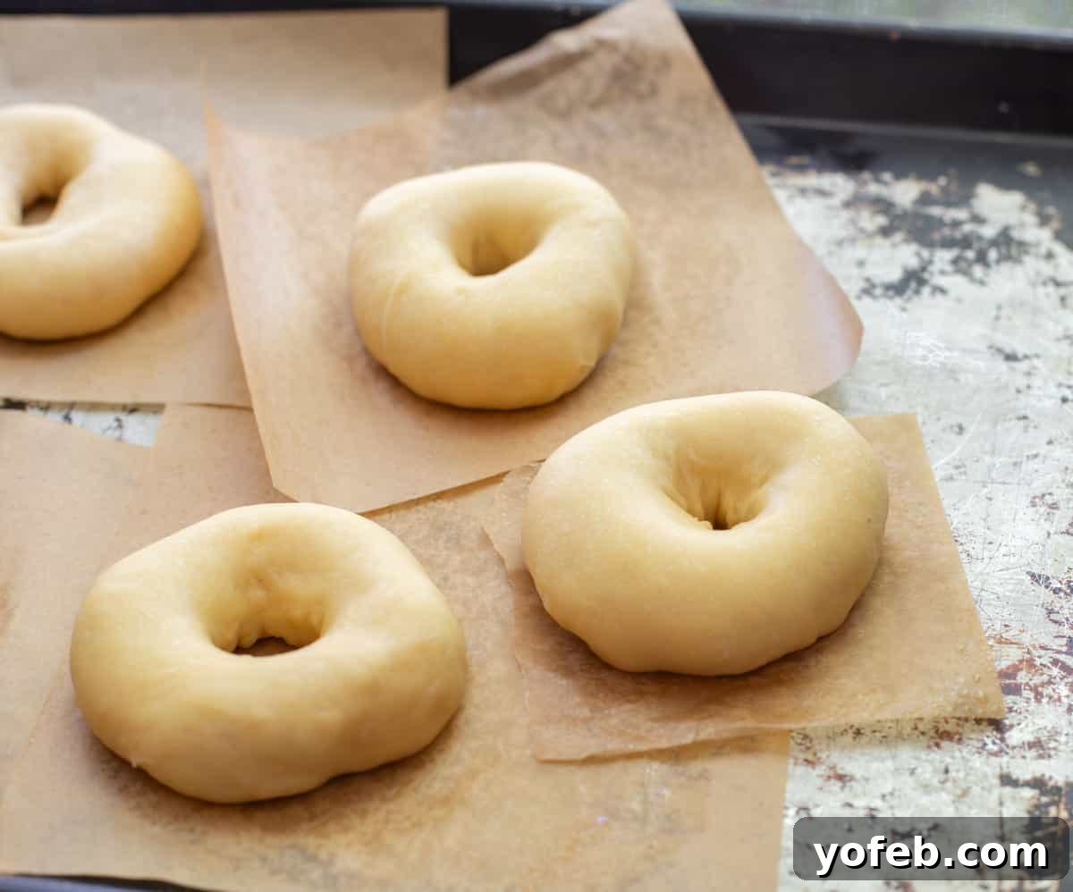 Doughnut Delights from Scratch 30 Puffy, beautifully hand-shaped risen donuts arranged on parchment paper squares, patiently awaiting their moment in the fryer.