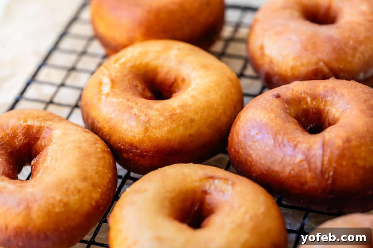 Doughnut Delights from Scratch 33 Close-up of perfectly fried donuts, still without glaze, resting on a cooling rack, awaiting their final delicious coating.
