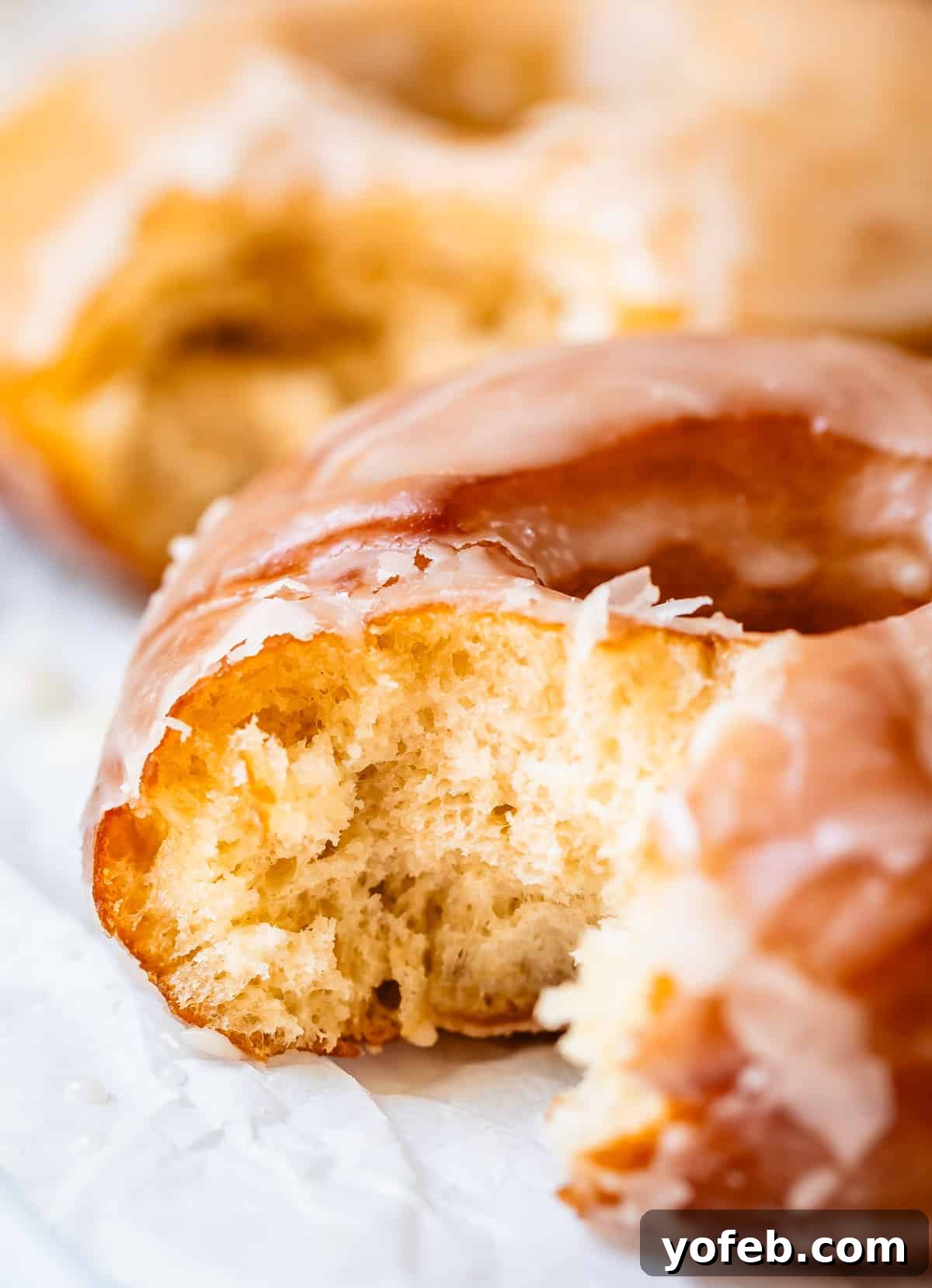 Doughnut Delights from Scratch 38 Close-up of a donut with a bite taken from it, revealing the fluffy, yeasty interior and perfect texture.