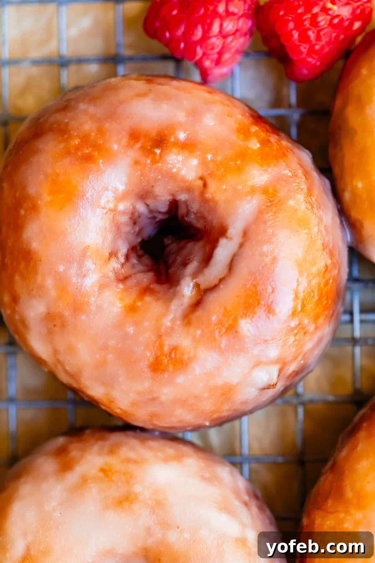 Doughnut Delights from Scratch 8 Close-up of a perfectly crafted homemade glazed donut with fresh raspberries beside it, highlighting its delicate texture.