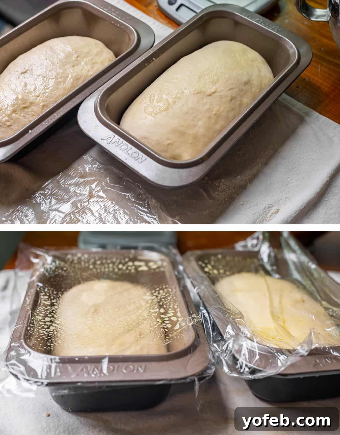 The White Bread Recipe That Ends Your Search 18 Two images: top shows two perfectly shaped dough loaves placed in greased pans, bottom shows the loaves covered with nonstick-sprayed plastic wrap for rising.