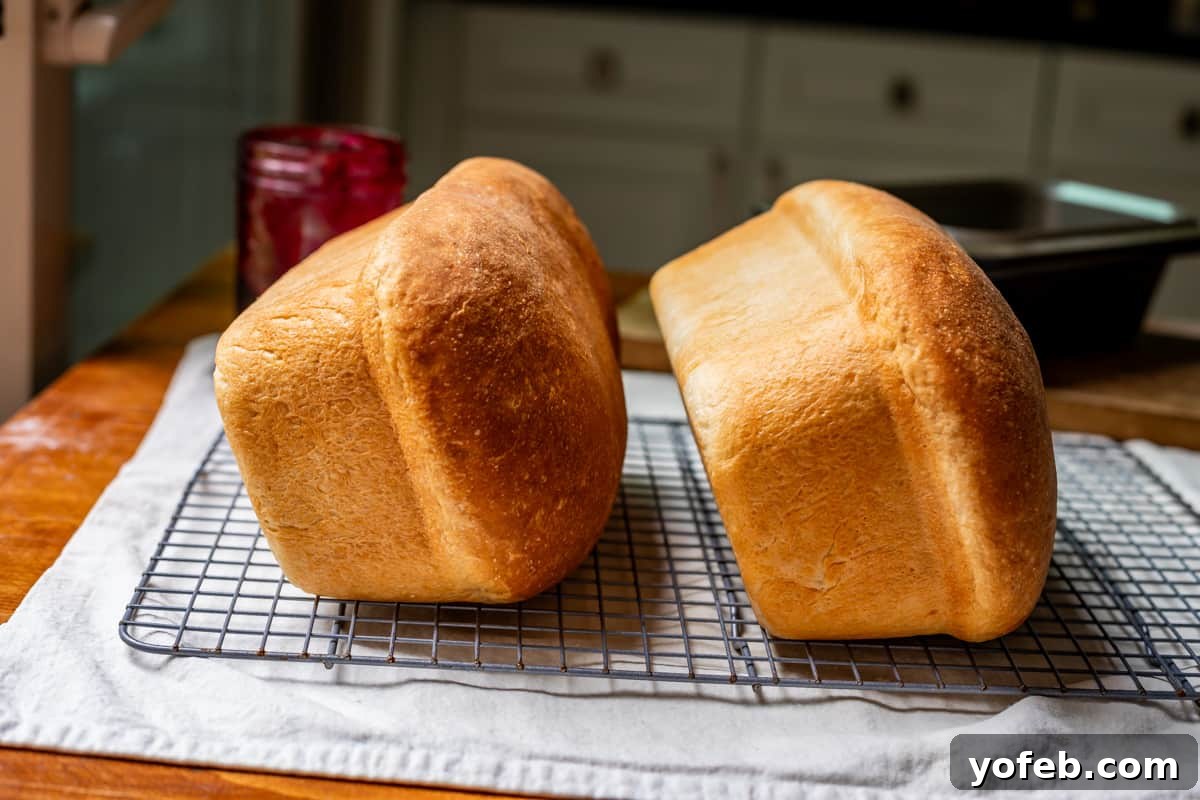The White Bread Recipe That Ends Your Search 21 Two perfectly baked loaves of white bread cooling on their sides on a wire rack to maintain their tall, fluffy structure.