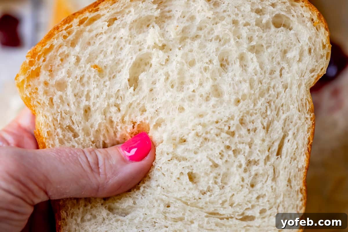 The White Bread Recipe That Ends Your Search 25 A close-up view of a slice of white bread, revealing its numerous air pockets that contribute to its light and fluffy texture.