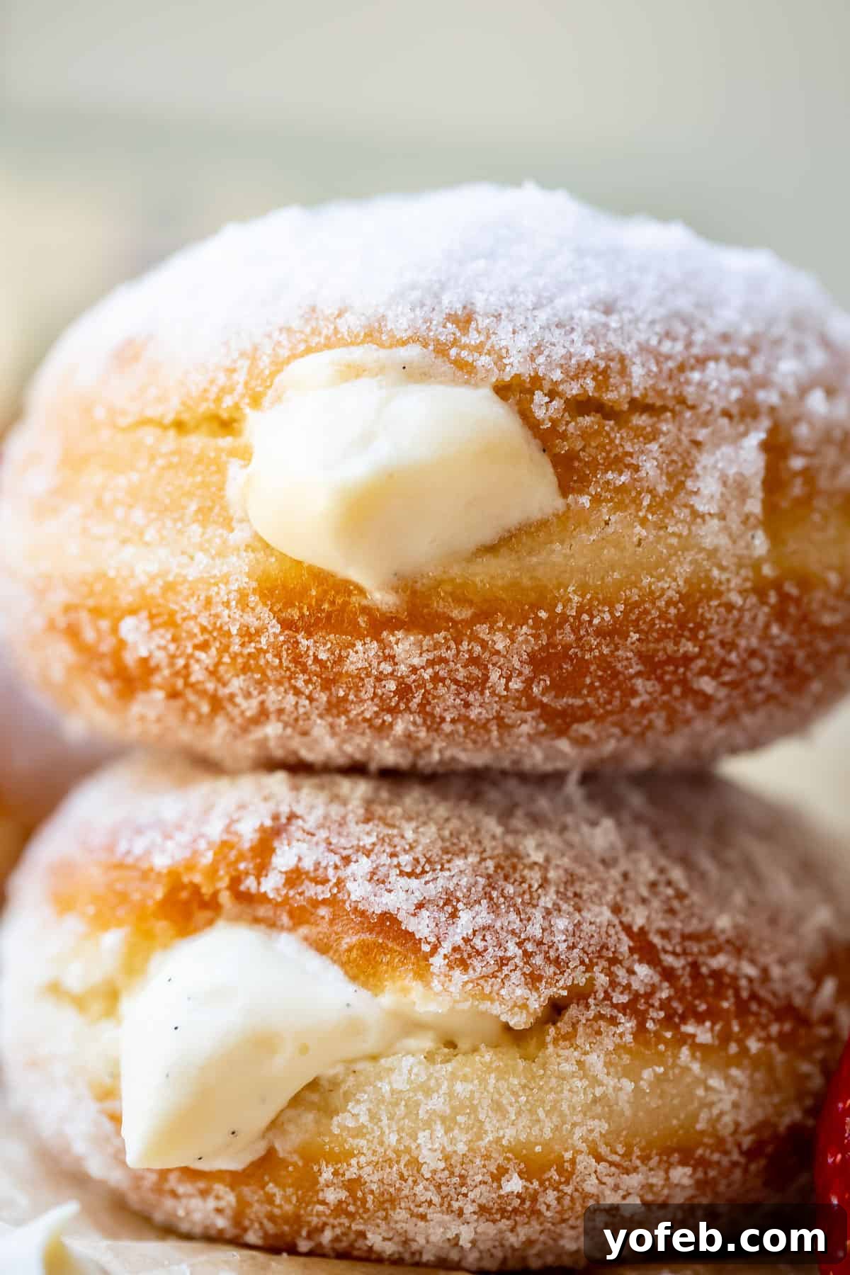 Decadent Bavarian Cream Donuts 2 two stacked homemade donuts puffy with Bavarian cream filling and sugar rolled.