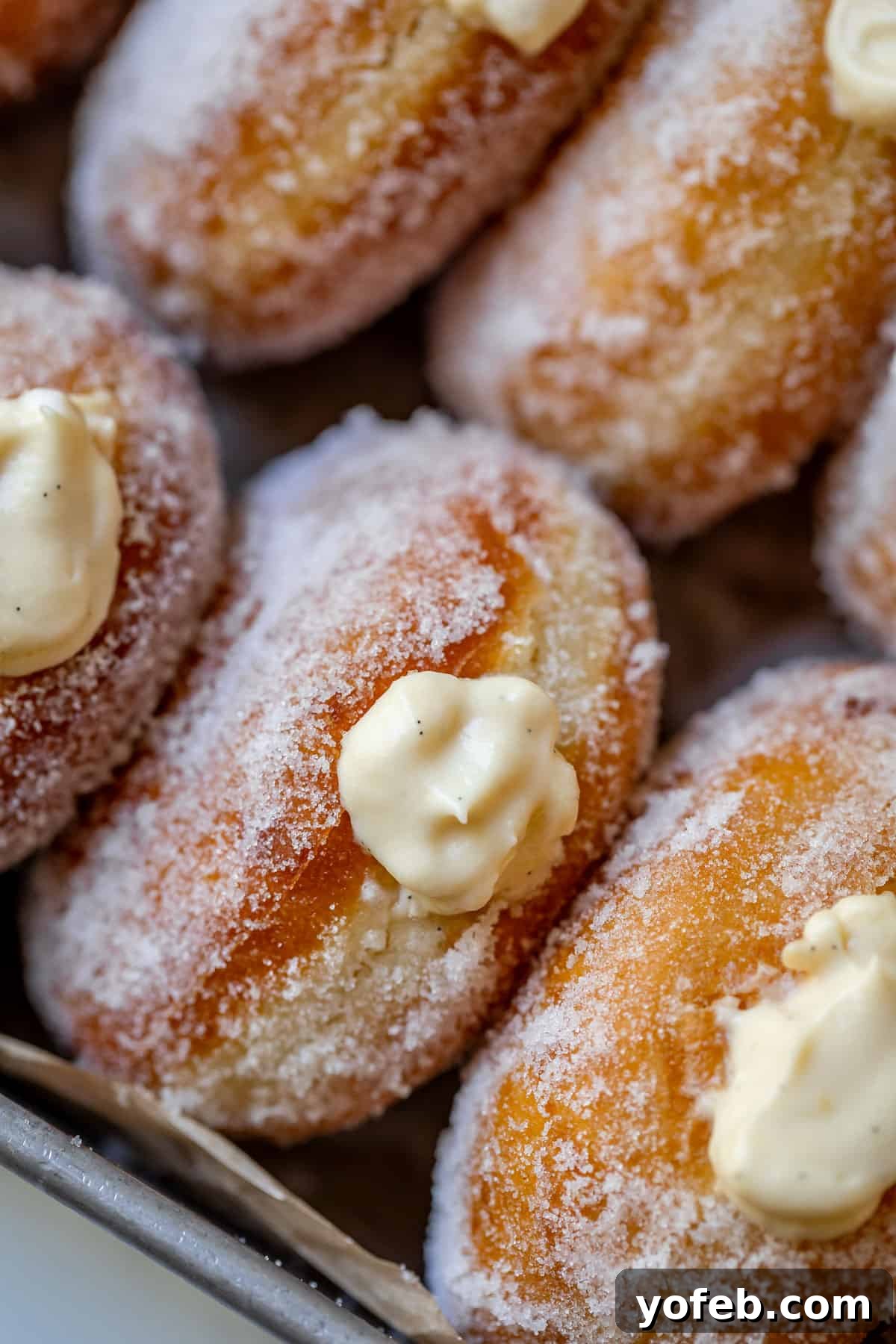 Decadent Bavarian Cream Donuts 27 view of angled homemade donuts filled with Bavarian cream on a tray.