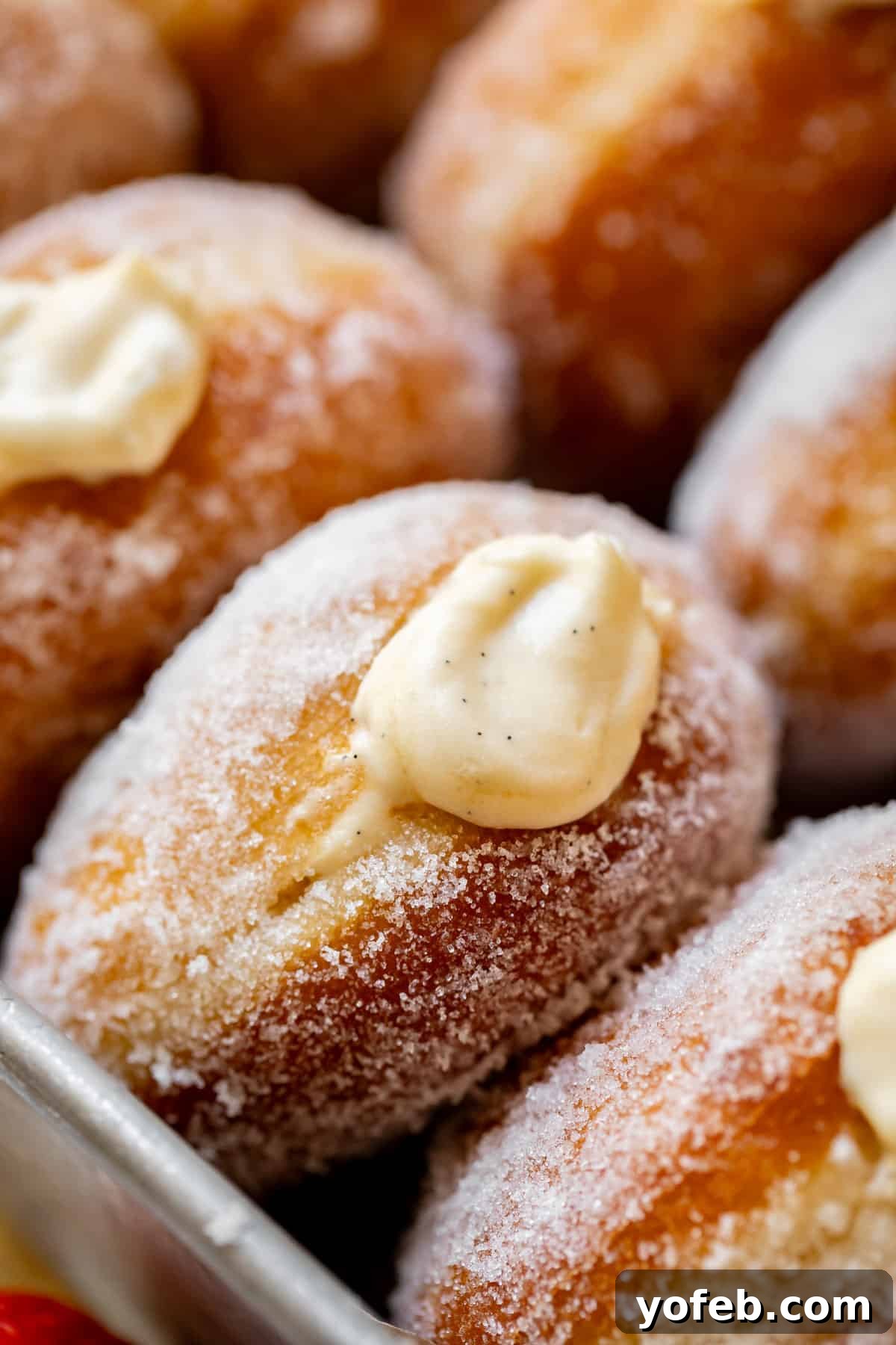 Decadent Bavarian Cream Donuts 4 close up of a puffy, sugar rolled donut filled with homemade Bavarian cream.