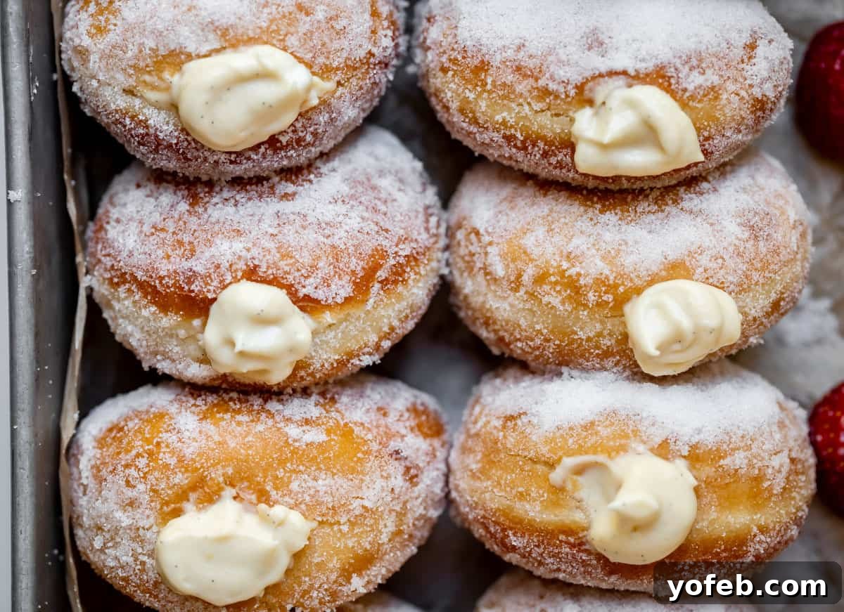 Decadent Bavarian Cream Donuts 5 overhead shot looking down on the top of sugar rolled, cream filled donuts in a tray.