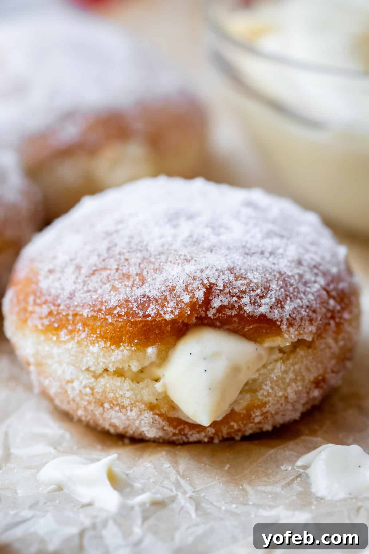 Decadent Bavarian Cream Donuts 6 close up of a single, sugar rolled homemade Bavarian cream donut with the cream oozing out.
