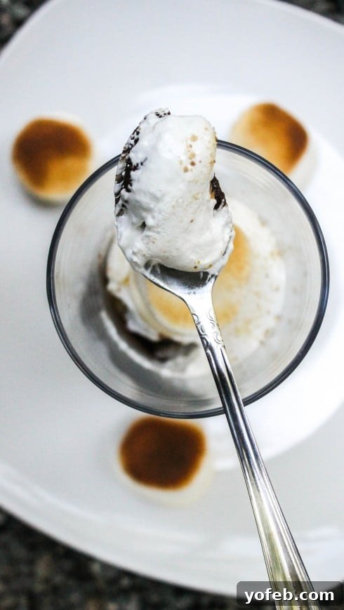 Effortless S'mores Cheesecake Bliss 3 Close-up of mini No-Bake S'mores Cheesecake with a toasted marshmallow
